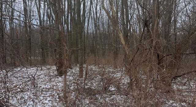 Photo of Groveland Station Rd, Sparta, NY 14437
