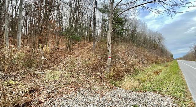 Photo of Dansville Mount Morris Rd, West Sparta, NY 14437
