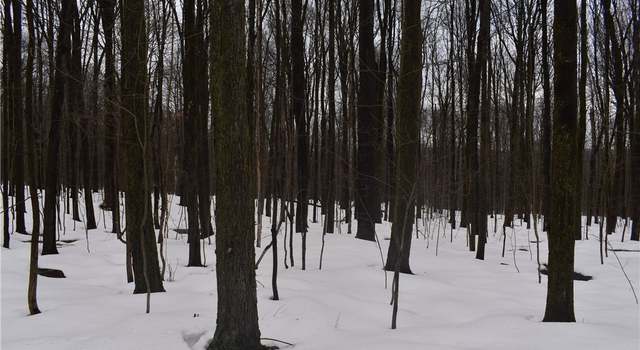 Photo of Harris Hill Rd, Gerry, NY 14740