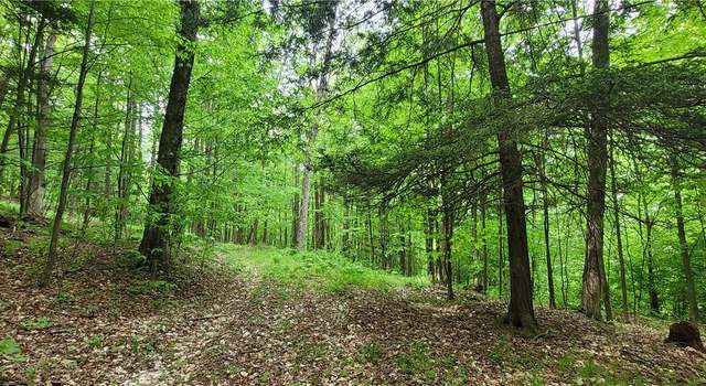 Photo of 1425 State Route 417, Greenwood, NY 14839