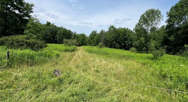 Photo of 0 Shute Rd, Nunda, NY 14517