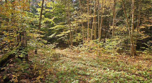 Photo of 0 Sawmill Run Rd, Cold Spring, NY 14783