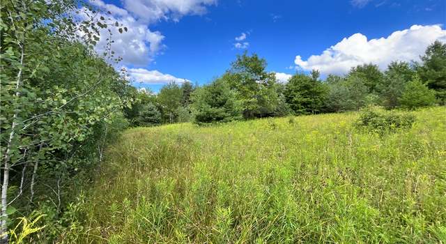 Photo of Lot 8 Greenbush Rd, Erin, NY 14838