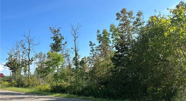 Photo of 0 Domes Rd, Sardinia, NY 14134
