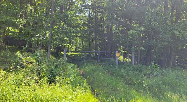 Photo of 0 Nunda-byersville Rd, Nunda, NY 14437