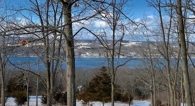 Photo of 0 Nichols Rd, Hector, NY 14818