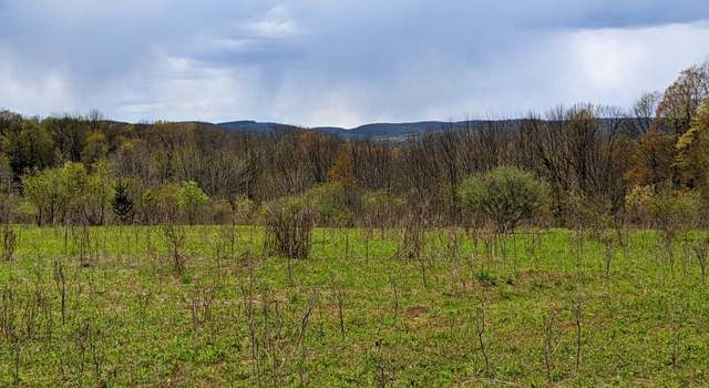Photo of Lot #37.01 County Highway 4, Morris, NY 13808