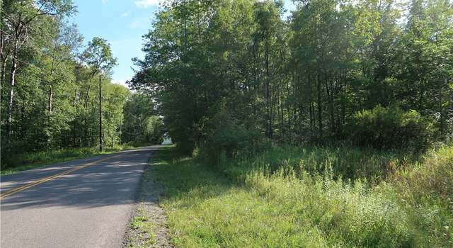 Photo of Lot 7 German Rd, Willet, NY 13863