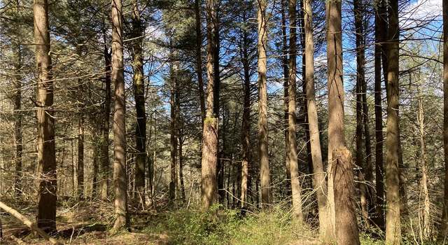Photo of 0 E Boulder Mountain Rd E, Andes, NY 13731