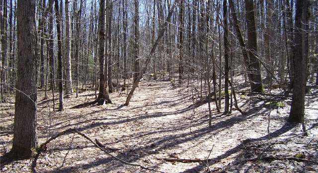 Photo of Balsam Tyler Rd, Mc Donough, NY 13801