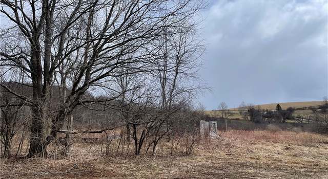Photo of Lot #20.15 Lebanon Rd, Lebanon, NY 13332