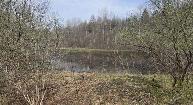Photo of Doyle Rd, West Edmeston, NY 13485