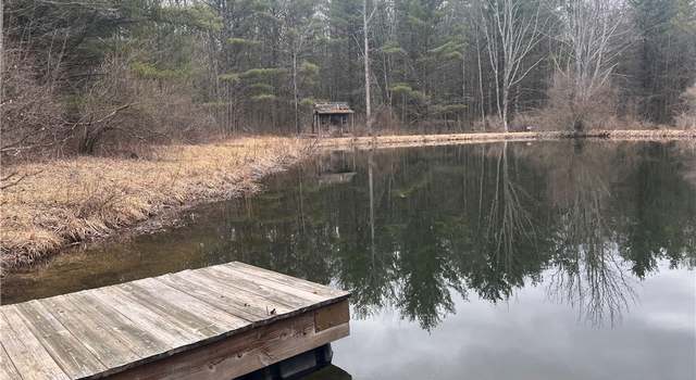 Photo of 0 Welty Rd, Lindley, NY 14858