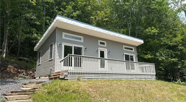 Photo of 621 Big Red Kill Rd, Fleischmanns, NY 12430