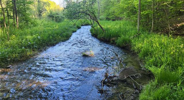 Photo of 0 Tabors Corners Rd, Springwater, NY 14560