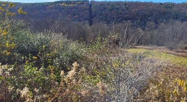 Photo of 00 Newtown, Catharine, NY 14869