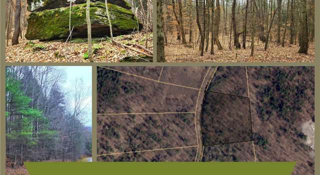 Photo of Lot 25 Musson Erwin Rd, Butternuts, NY 13776