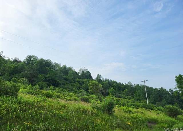 Property at 4221 Nys Route 242, Machias, NY 14101