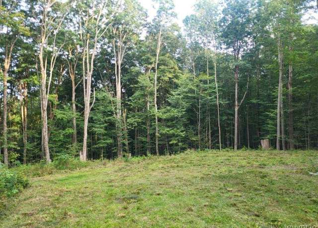 Property at 46 Dublin Terrace Rd, Mansfield, NY 14779