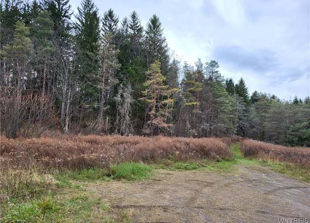 Property at Us Route 219, Ellicottville, NY 14731