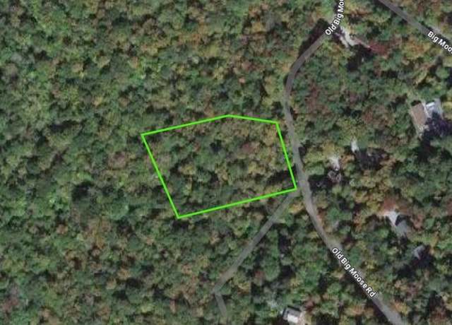 Property at 00 Old Big Moose Rd, Webb, NY 13331