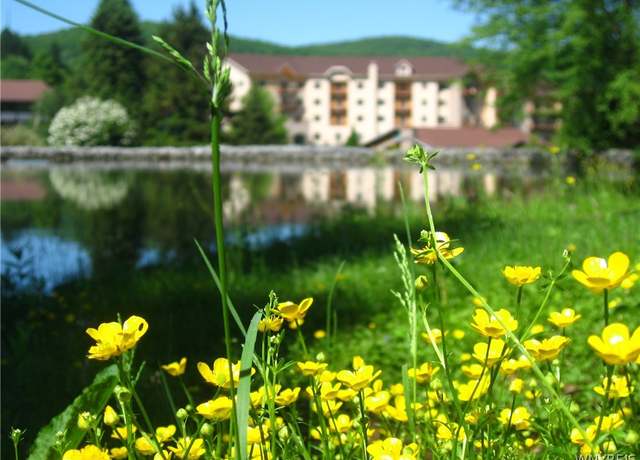 Property at 6447 Holiday Valley Road Holiday Valley Rd Unit 414/416-2, Ellicottville, NY 14731, 2 beds, 2 baths