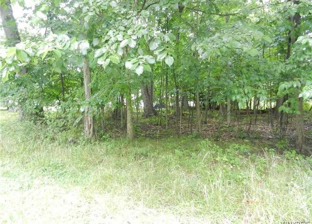 Property at 9815 Redwing St, Evans, NY 14006