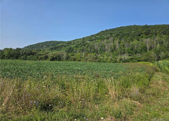 Property at Martin Rd, Great Valley, NY 14741