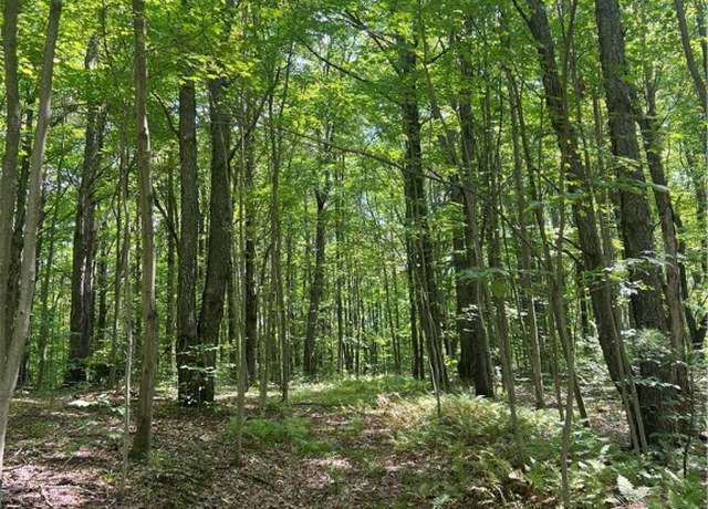 Property at Pleasant Valley Rd, Yorkshire, NY 14042