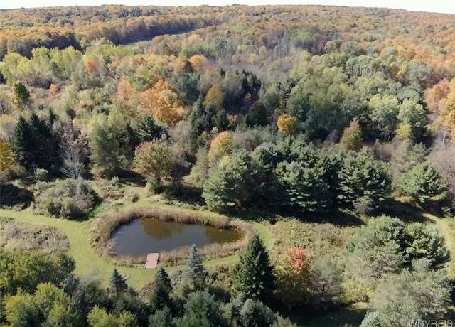 Property at 10070 Warner Gulf Rd, Sardinia, NY 14080