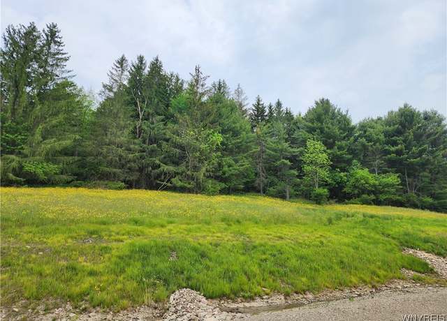 Property at 9 Sundance Rd, Ellicottville, NY 14731
