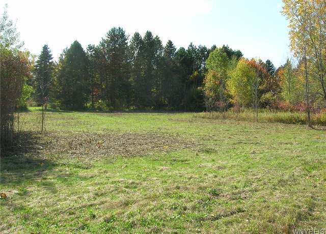 Property at 13633 Carney, Newstead, NY 14001