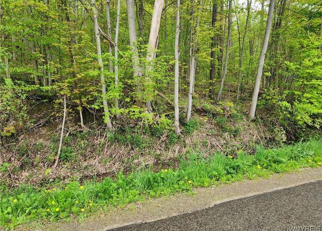Property at Utley Rd, East Otto, NY 14729