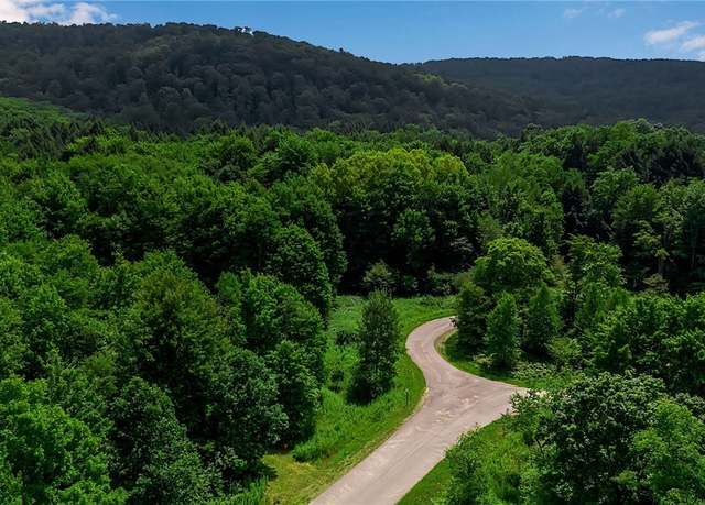 Property at 4456 Courtney Highland Dr, Great Valley, NY 14741, 1 bed