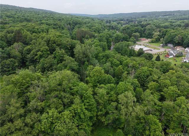Property at 8762 Lower East Hill Rd, Colden, NY 14033