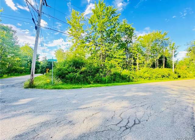 Property at 0 Sycamore St, Evans, NY 14006