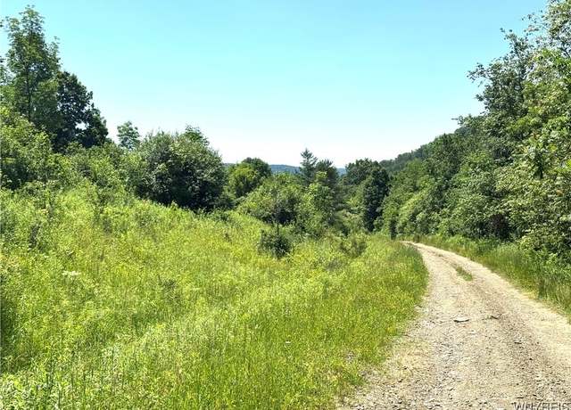 Property at Gile Hollow Rd, Hinsdale, NY 14743