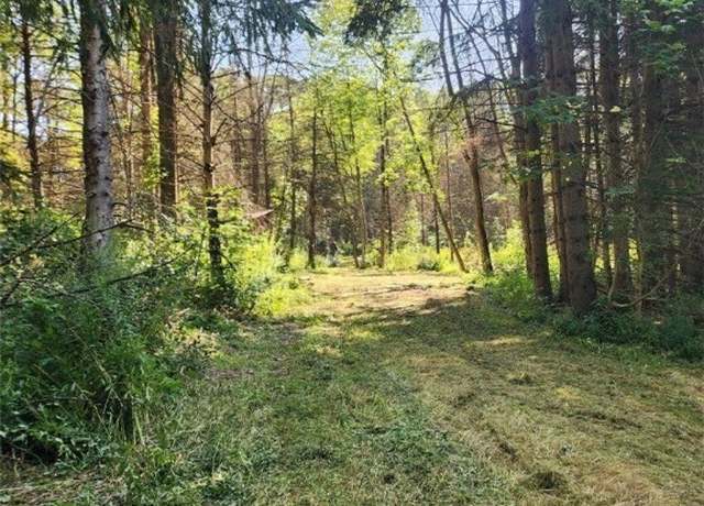 Property at 6984 Bowers Rd, Stockton, NY 14718