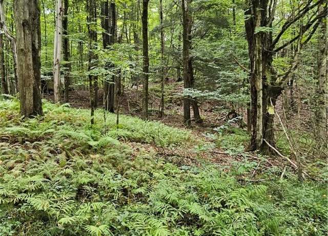 Property at VL Rabbit Rd, East Otto, NY 14729