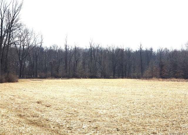 Property at VL Dale Rd. Dale Rd, Royalton, NY 14067