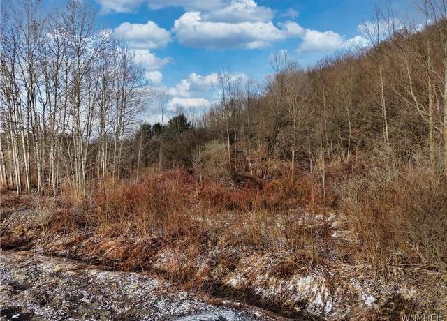 Property at 6010 Nys Rte 242 Lot #6, Ellicottville, NY 14731