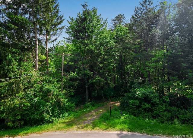 Property at 11665 Carpenter Rd, Wales, NY 14169