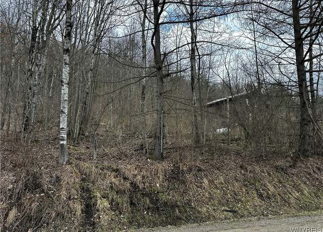 Property at Porter Hollow Rd, Great Valley, NY 14741