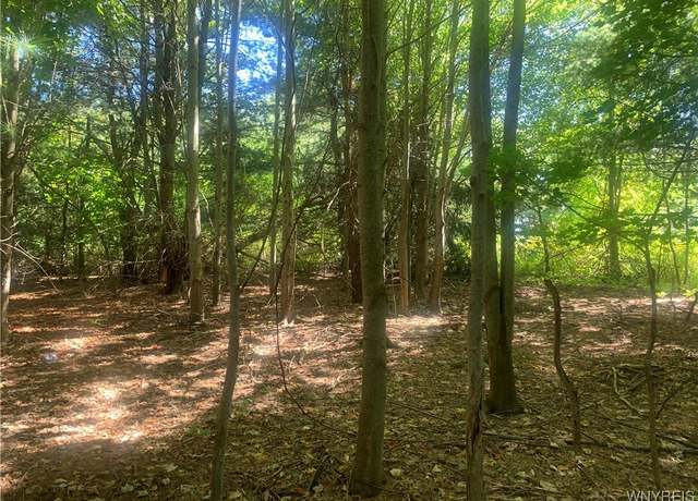Property at 9164 Gowanda State Rd, Eden, NY 14057