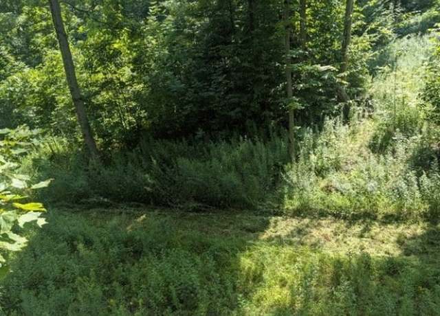 Property at VL Bowers Rd, Stockton, NY 14718