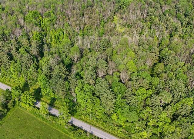 Property at 00 Lamont Rd, Angelica, NY 14709