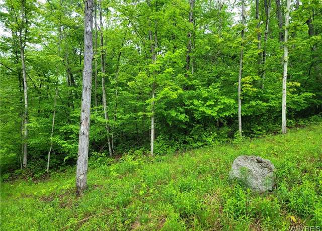 Property at 0 Co Road 24- Lot 1, Grove, NY 14884