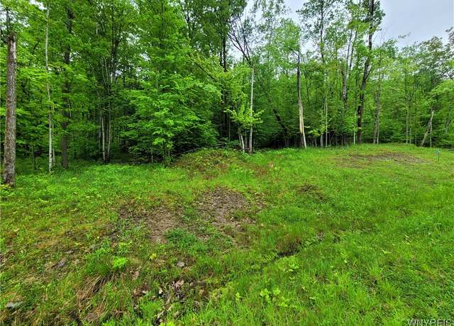 Property at 0 Co Road 24- Lot 7, Grove, NY 14884