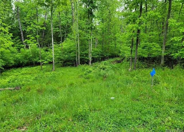 Property at 0 Co Road 24- Lot 14, Grove, NY 14884