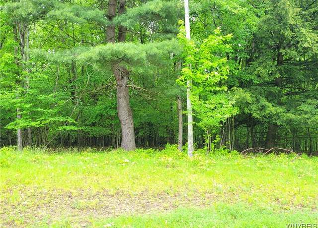 Property at 0 Cr-24- Lot 18, Grove, NY 14884